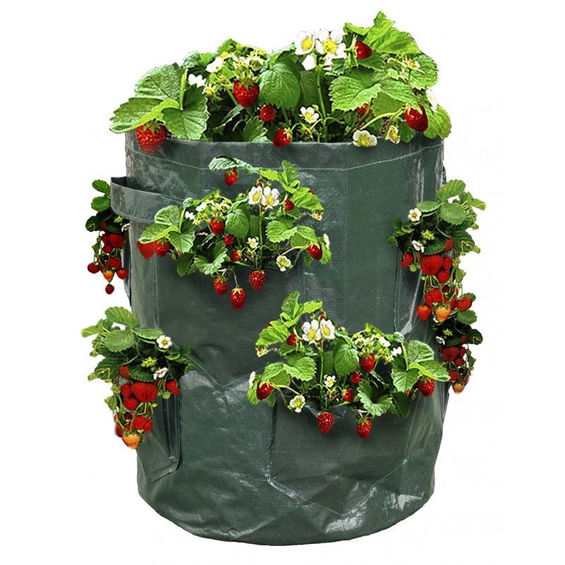 Sac A Fraisiers - Sac De Plantation Pour Fraises - X2