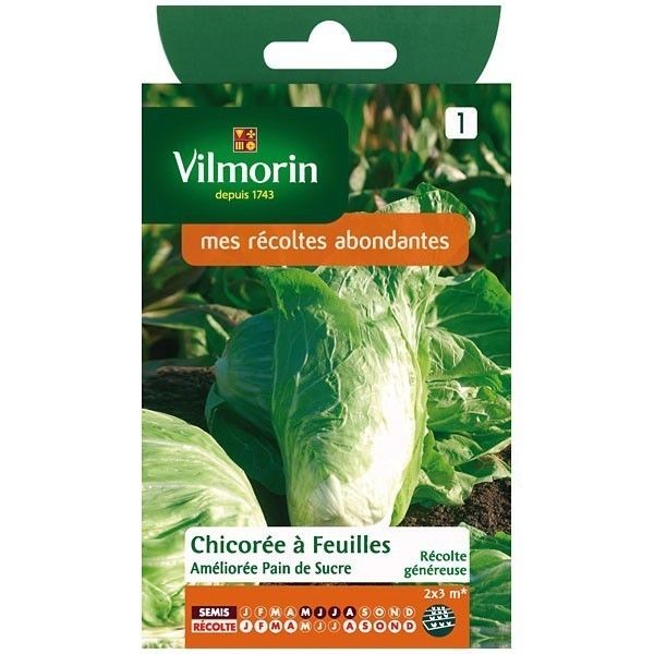 Chicoree sauvage amelioree pain de sucre VILMORIN 4 g
