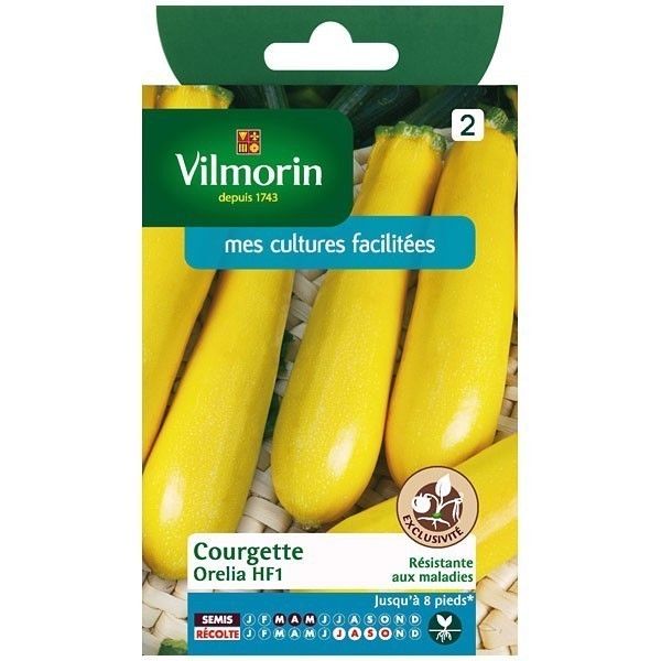 Vilmorin Courgette Orelia Hf1 Peau Jaune