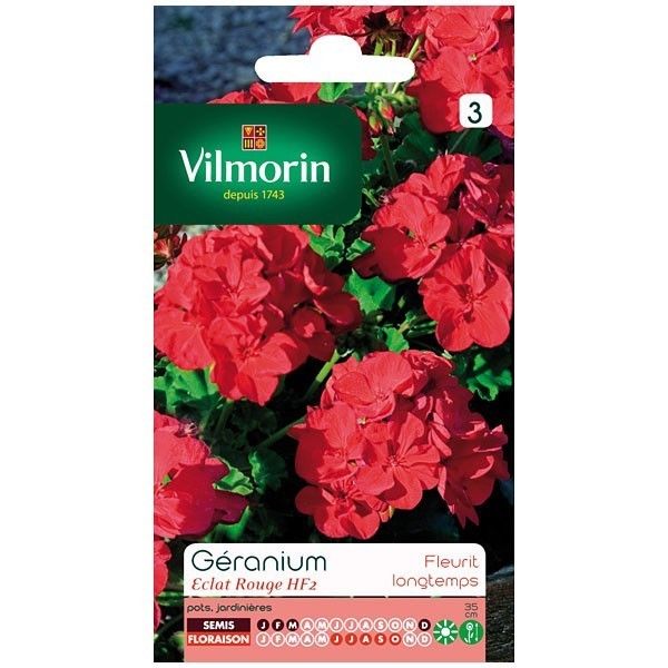Graine De Geranium Vilmorin - Hf2 Eclat Rouge - Variete Tres Florifere