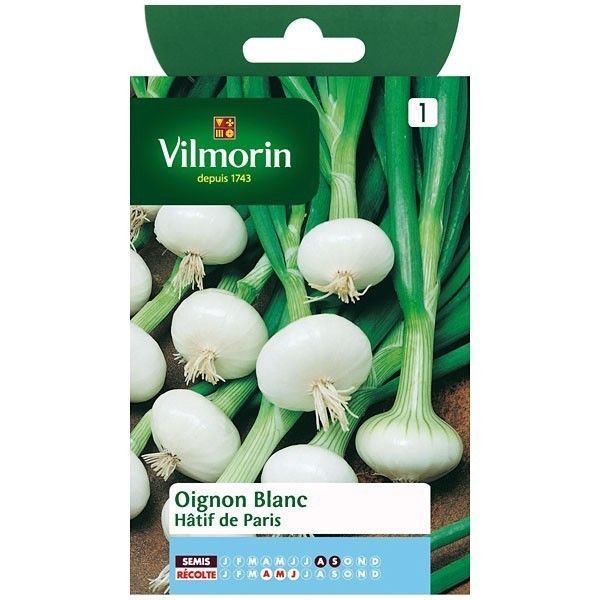 Oignon blanc hatif de paris VILMORIN 3 g