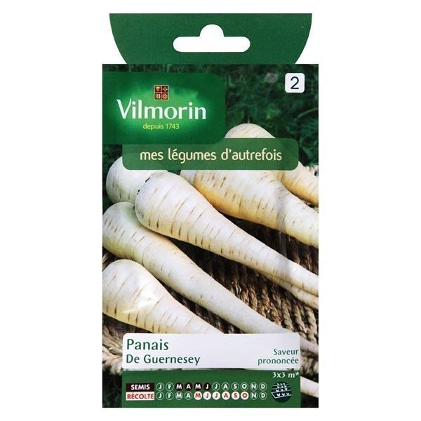 Sachet graines Panais de Guernesey