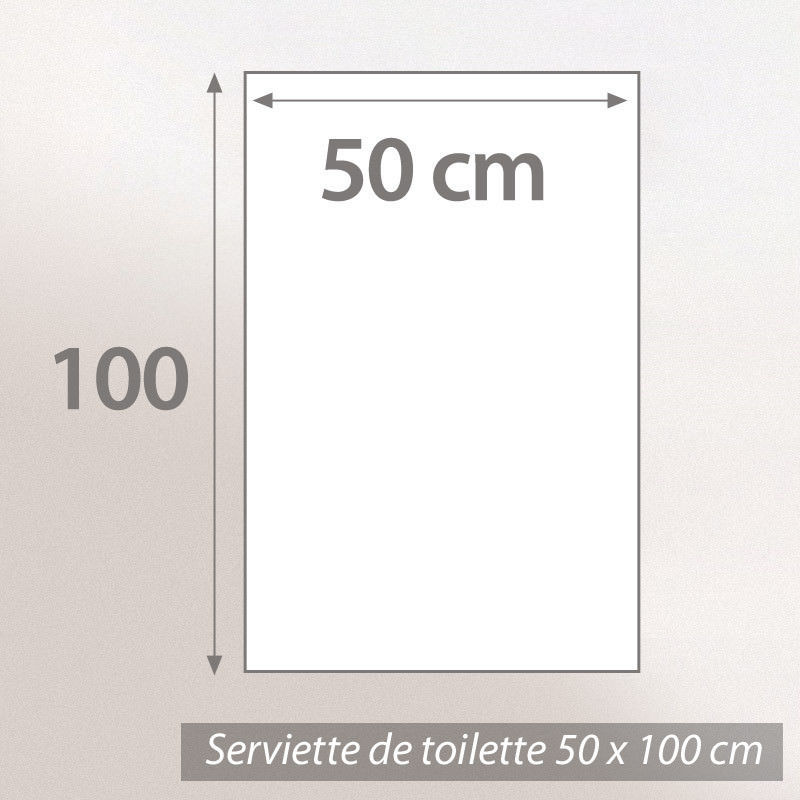 Linnea Serviette De Toilette 50x100 Cm N...