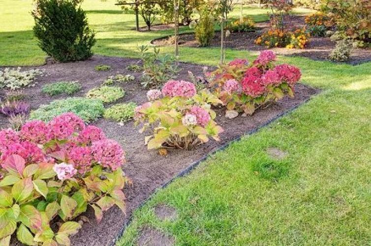 Zielona Aleja Bordure De Jardin En Plastique Flexible Noir 10 Metres Avec 50... 