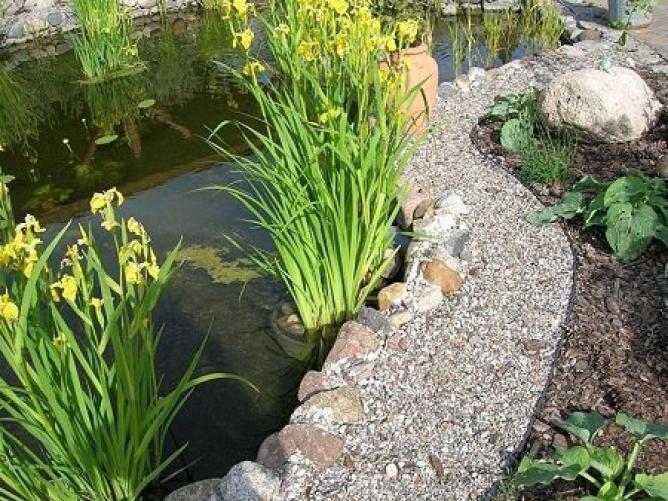 Zielona Aleja Bordure De Jardin En Plastique Flexible Noir 10 Metres Avec 50... 