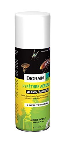 DIGRAIN Pyrethre Aerosol - I1133