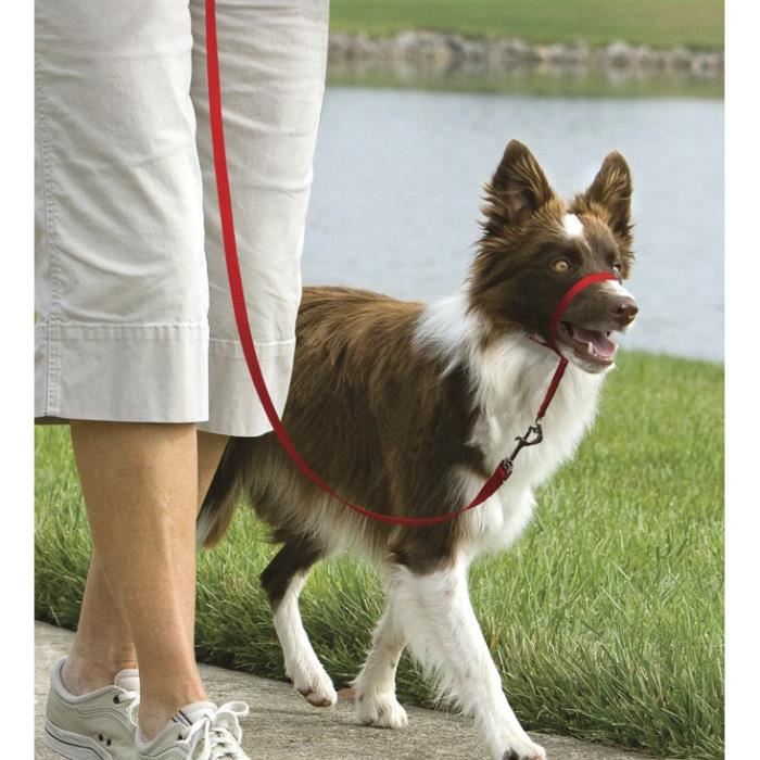 Easy Walk Licol Chien Rouge M