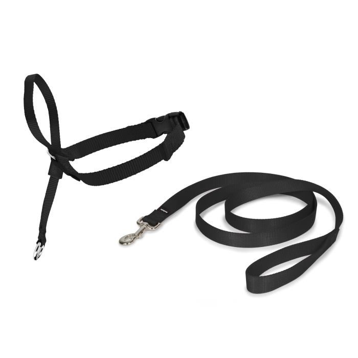 Easy Walk Licol Chien Noir S