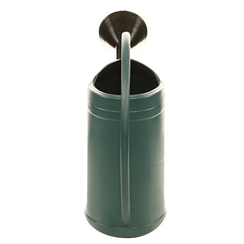 EDA Arrosoir plastique ovale pomme 6 L