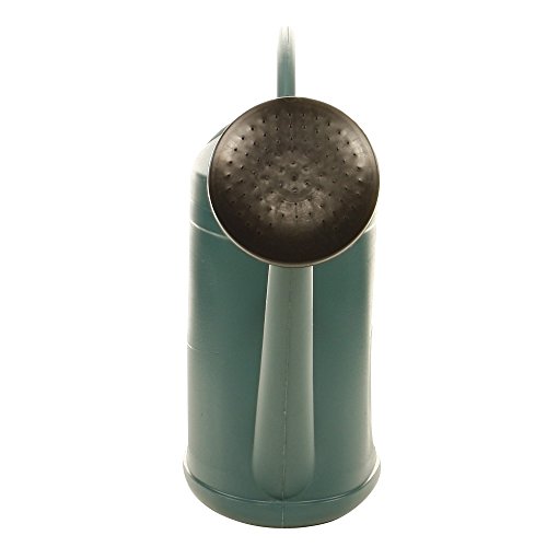 Eda Arrosoir Parisien 6l Avec Pomme