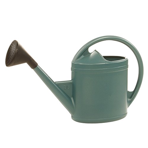 Arrosoir - Ose - Parisien - Plastique - 3l - Bleu Avec Pomme