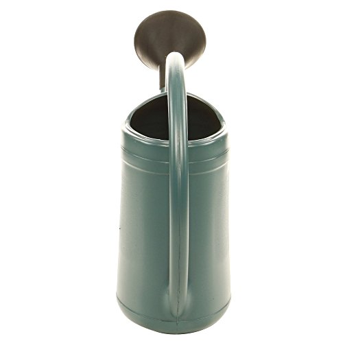 Arrosoir - Ose - Parisien - Plastique - 3l - Bleu Avec Pomme