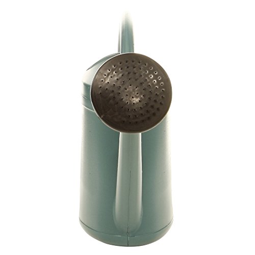 EDA Arrosoir plastique ovale pomme 3 L