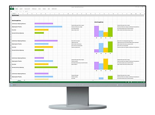 Ecran Pc Eizo Flexscan Ev2450 - 24 Pouces - 1920 X 1080 - 5 Ms - Gris