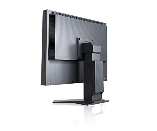 Eizo Flexscan S2133-bk Led Display 54,1 ...