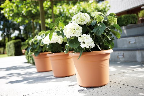 Elho Pot De Fleurs Green Basics Cilinder A 438 X H 338cm Terre Cuite Doux