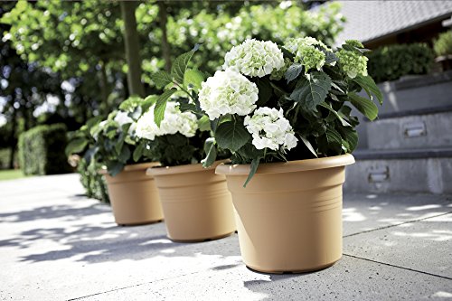 Elho Pot De Fleurs Green Basics Cilinder A 438 X H 338cm Terre Cuite Doux