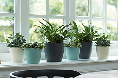 Pot De Fleurs - Brussels - Plastique - Blanc - Rond - Ø24 3xh23 2cm - 100% Recycle - Elho