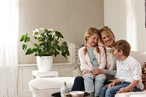 Pot De Fleurs - Brussels - Plastique - Blanc - Rond - Ø24 3xh23 2cm - 100% Recycle - Elho