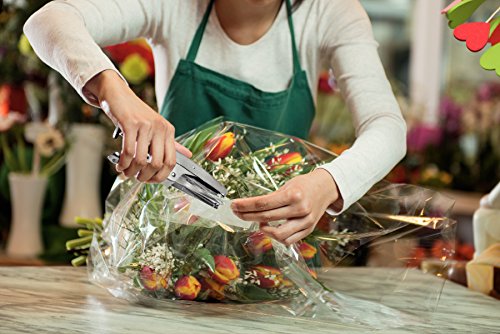 Rapid Maxi Sp - Pince Agrafeuse - Chrome