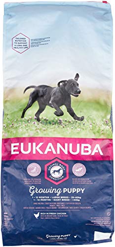 Eukanuba Chien Puppy (-24mois) Large Breed (+25kg) Croquettes 15kg