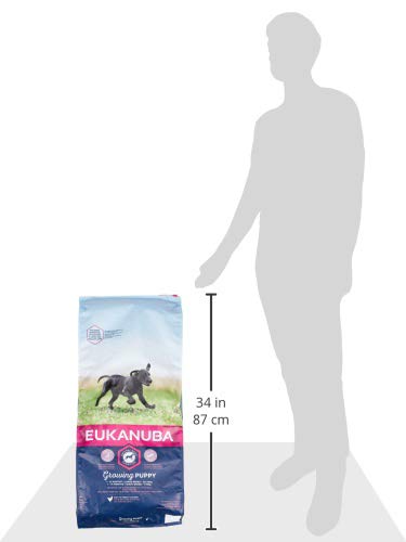 Eukanuba Chien Puppy (-24mois) Large Breed (+25kg) Croquettes 15kg