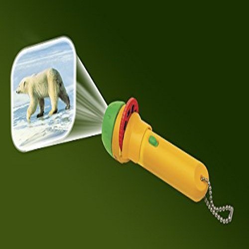 Brainstorm Toys Animal Torch And Project...