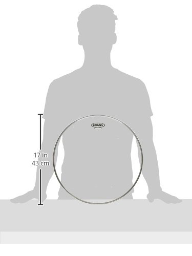 Evans Tt16gr Peau De Resonance Genera 16