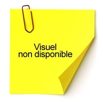 Exacompta Classeur Fiche Bristol Dos 35mm 148 X 21 2 Anneaux Polypropylene Translucide 710eme 5 Couleurs Aleatoires