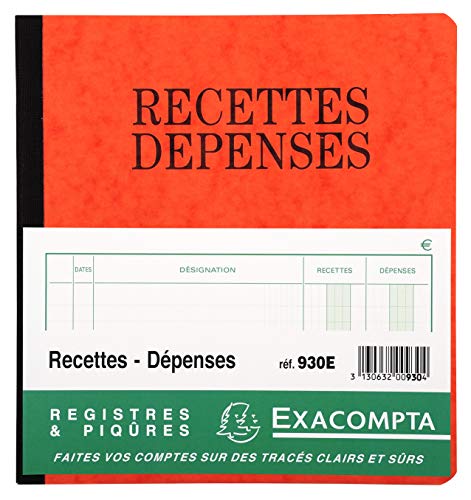 Piqure - Recettes-depenses - 19x21 cm