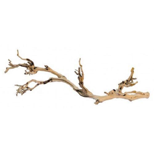 Exo Terra Decoration Pied De Vigne Sable - Grand Modele - Pour Terrarium