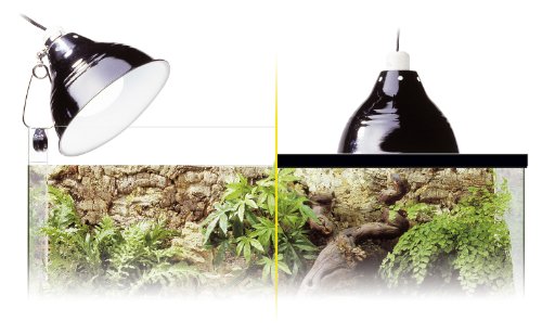 Lampe Declairage Pour Terrarium - Exo Terra - Glow Light M - Pince Avec Douille Porcelaine - Reflecteur Lumineux - Jour/nuit - 21cm