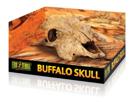 Exoterra Decoration Buffalo Skull Pour  ...