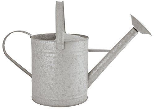 Arrosoir en zinc patine 8,75 L Oz