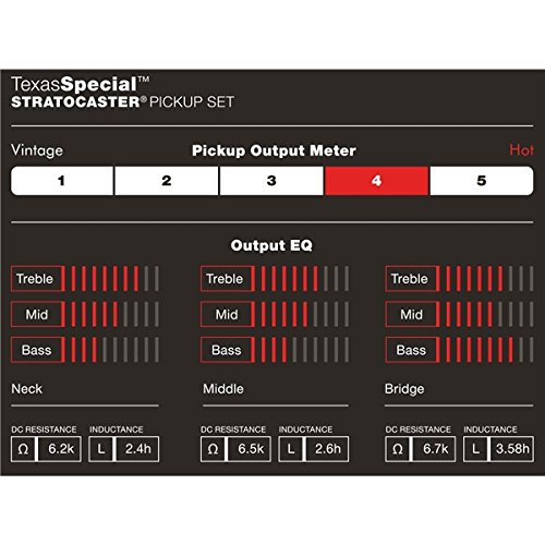 Fender Custom Shop Texas Special Stratoc...