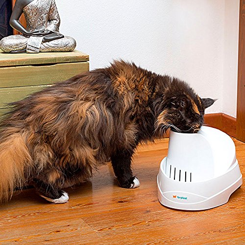 Ferplast Fontaine Automatique Pour Chats