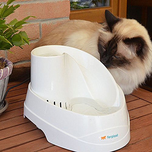 Ferplast Fontaine Automatique Pour Chats