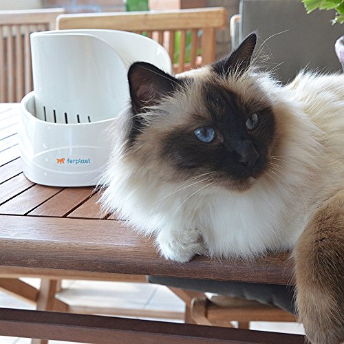 Ferplast Fontaine Automatique Pour Chats