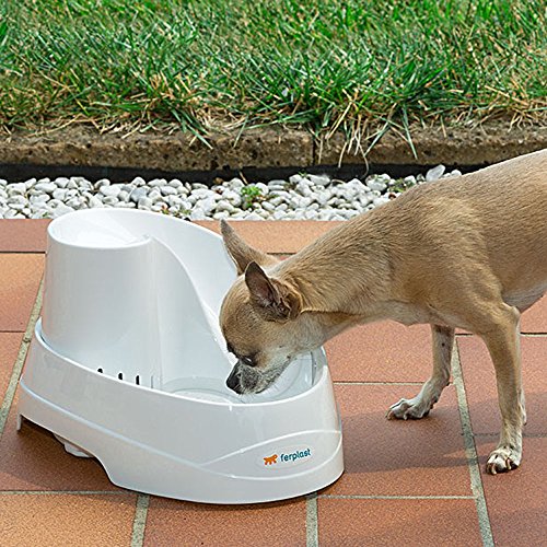 Ferplast Fontaine Automatique Pour Chats