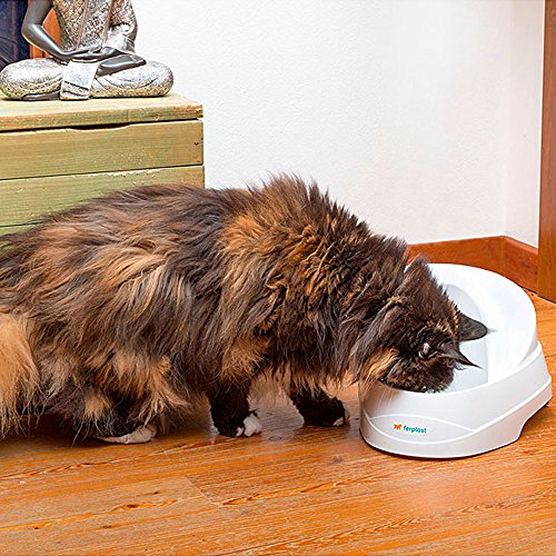 Ferplast Fontaine Automatique Pour Chats