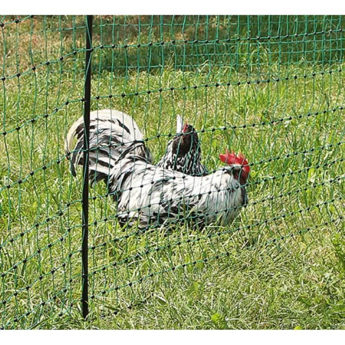 Filet Cloture Double Pointe Long 25m / Haut 1,12m Non Electrifiable Pour Poule, Volaille