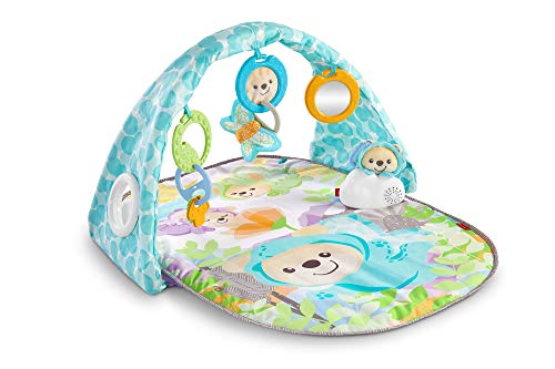 Fisher-price Jouets Musicaux, Dyw46, Mul...