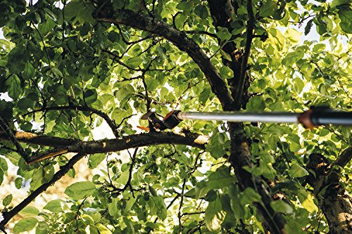 Coupe-branches Multifonctions Telescopique Fiskars Leborgne Upx82 - Portee De Coupe 35m - Ø 32 Mm
