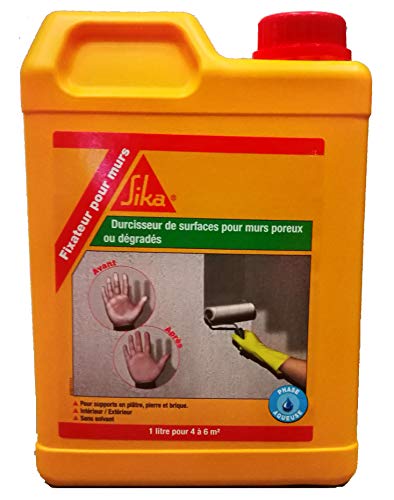 Fixateur Pour Mur Sika 2l