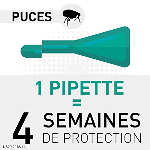 Frontline Combo Chat Anti Puces Et Anti Tiques Pour Chat 6 Pipettes