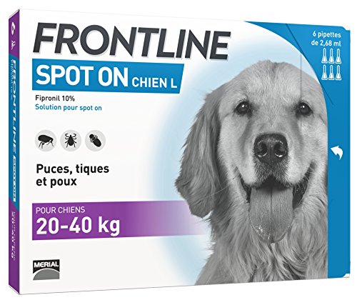 Frontline Spot On Chien Anti Puces Anti Tiques Pour Chien L 20 40kg 6 Pipettes