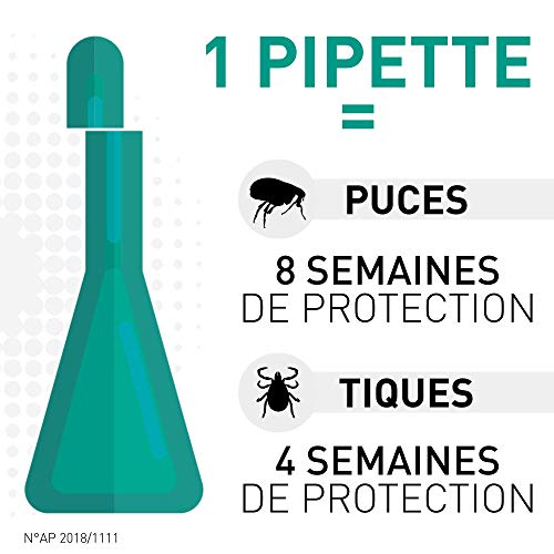 Frontline Spot On Chien Anti Puces Anti Tiques Pour Chien L 20 40kg 6 Pipettes