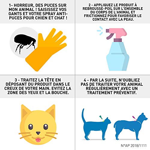 Spray Antiparasitaire Pour Chien Et Chat - Frontline - 100ml