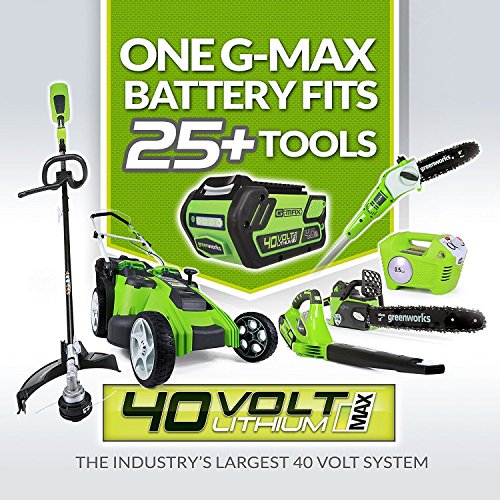 Greenworks Tools Chargeur De Batterie G4...