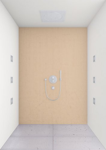 Rainshower Grohe Mural 27074000 Chrome, Rosace Ronde